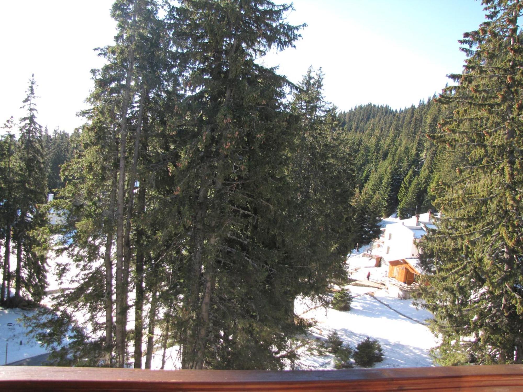 Aparthotel Pine Hills Pamporovo Exterior foto