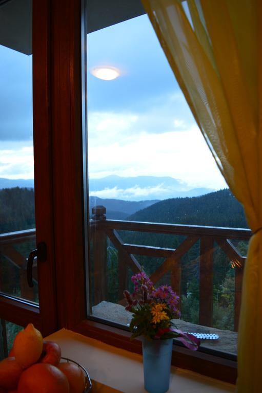 Aparthotel Pine Hills Pamporovo Exterior foto