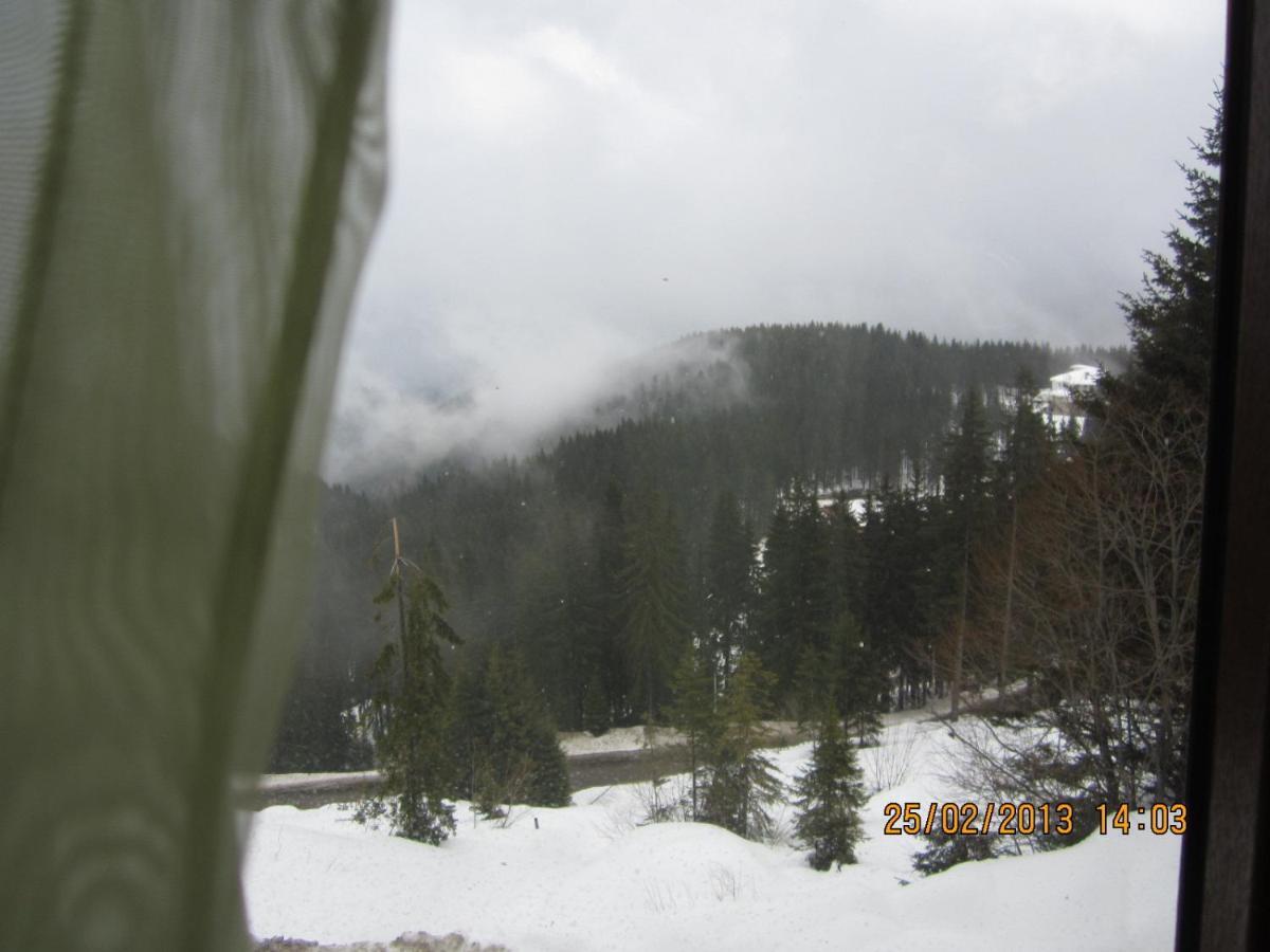 Aparthotel Pine Hills Pamporovo Habitación foto